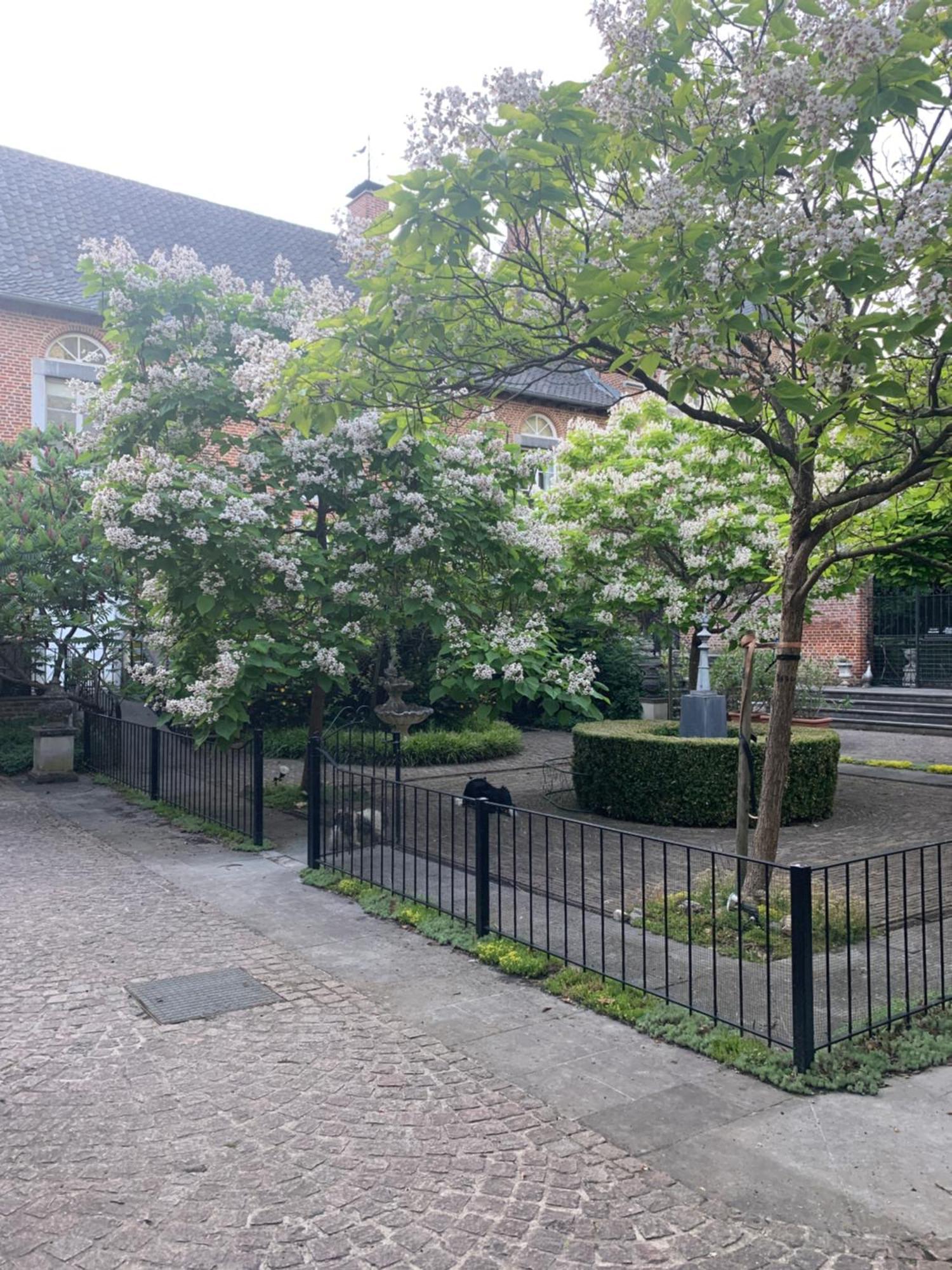 Vakantie Huizen De Heerlijkheid Satenbergh Villa Heers Eksteriør billede